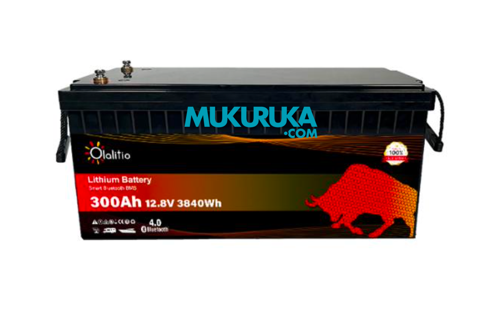 BATERÍA DE LITIO OLA-12-300-P 12.8V 300AH CON BLUETOOTH