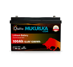 BATERÍA DE LITIO OLA-12-100 P 12.8V 100AH CON BLUETOOth