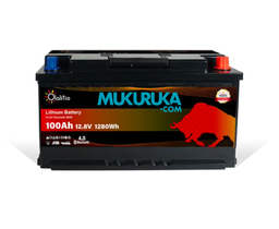 BATERÍA LITIO OLA-12-100-S 12.8V 100AH CON BLUETOOTH